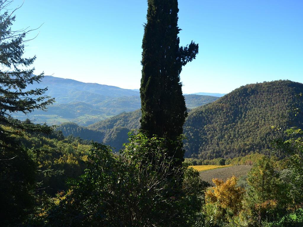 Serene Farmhouse In Dicomano With Swimming Pool别墅 外观 照片