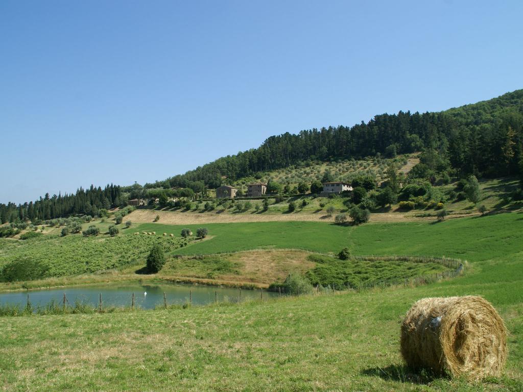 Serene Farmhouse In Dicomano With Swimming Pool别墅 外观 照片